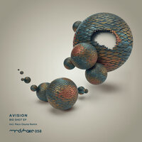 Trippin' Or Buggin' - Avision