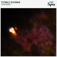 Sour Diesel - Flynn & DJ Schwan & Golden Ticket Tapes
