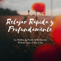 Aliviar el Estrés Fácilmente - Dias Felices Maestro