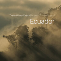 Good World - Tropical Forest Project: Ecuador & Martha Tilston