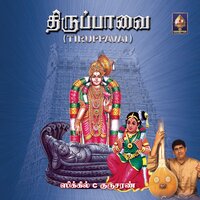 Maari Malai - Sikkil C Gurucharan