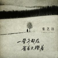 一辈子都在省着又攒着 - 张艺迈