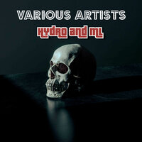 Gun in My Bag - Hydro & ML Mac & Ice Dogg