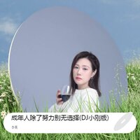 成年人除了努力别无选择 - 李英 & DJ小刚