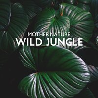 Nature Sounds to Wind Down - Mothers Nature Music Academy