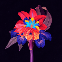 Nervous Tics - Maribou State & Holly Walker & DJ Tennis