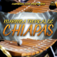 La Cadenita - Marimba Tropical De Chiapas