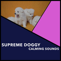 Tender Pup Peace - Dogs Music Therapy & Dog's Music & Zen Dog