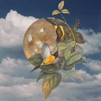 Fear of Silence - Phaeleh