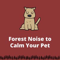 Calm Dog Music - Calming Music for Dogs & Relaxing Dog Music & Dog Therapy