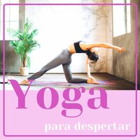 Yoga Fácil - El Mundo Yoga