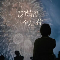 我恨的不是你 - 凝音 & 阿本