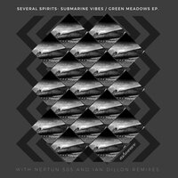 Green Meadows - Several Spirits & Neptun 505