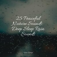 Pleasant Rains - Deep Sleep FX & Zarobi & Healing Sounds for Deep Sleep and Relaxation