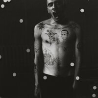 Седьмое октября - Хаски