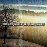 Найдите свой разум - Binaural Beats Brain Waves Isochronic Tones Brain Wave Entrainment