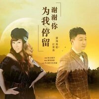 谢谢你为我停留 - 望海高歌 & 红蔷薇