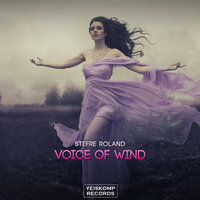 Voice Of Wind - Stefre Roland