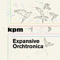 High Road - KNIGHTSTOWN & Thomas Aston