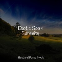 Soft Echoes - Life Sounds Nature & Binaural Beats Brainwave Entrainment & Meditation Relaxation Club