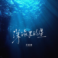 深海里的星 - 苏星婕
