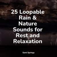 Medium Fire Crackling - Sounds of Nature for Deep Sleep and Relaxation & Ambient Rain & Nursery Rhymes