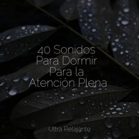 Interpretaciones Del Flujo De Agua - Sueño Profundo & Relajante & Sonidos De Truenos y Lluvia