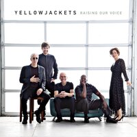 Ecuador - Yellowjackets