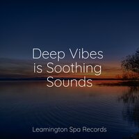 Feeling Calm - Rain Sounds XLE Library & Chakra Meditation Universe & Nature Recordings