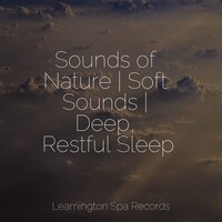 Lullabies for Sleep - Reiki Music & Binaural Beats Isochronic Tones Lab & nature & Sounds Background