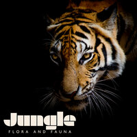 Awsome Nature - Zen Soothing Sounds of Nature