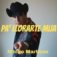 Su Amor y Tu Amistad - Rocke Martinez & El Lobito de Sinaloa
