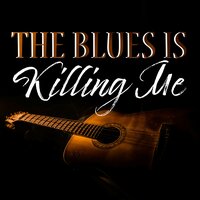 Sixteen Tons - Big Bill Broonzy