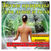 Водно-болотные угодья после летней грозы: звуки природы - Amadeus