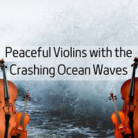 Insanity - Violin Cello Zone