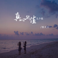 真心能值几个钱 - 彤大王