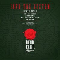 Into The System - Remy Kruyer & Heron