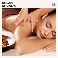 Tranquil Peace - Spa Music Consort & Spa & Relaxation & Relaxing music & Spa Therapy Music