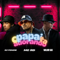 O Papai Tá Adorando - walkir sax & MC RD & Dj Fonzie