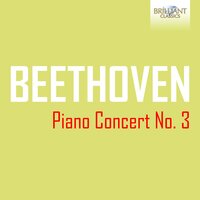 Piano Concerto No. 3 in C Minor, Op. 37: III. Rondo. Allegro (4) - Paul Freeman & Berliner Symphoniker & Derek Han & Ludwig van Beethoven