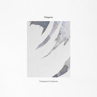Transparent Creatures - Polygonia