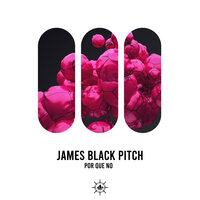 Por Que No - James Black Pitch
