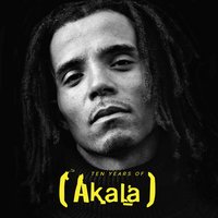 Yours and My Children - Akala