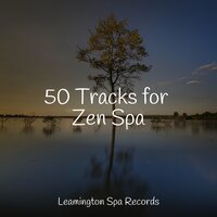 Lazy Morning - Asmr Sleep Sounds & Sleep Sound Library & Baby Lullabies Music