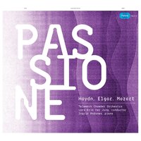 Symphony No. 49 in F Minor, 'La Passione' (1768): Il. Allegro di Molto - Telemark Chamber Orchestra & Йозеф Гайдн