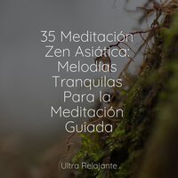 Relajado - Sonidos de lluvia para dormir & Sonidos De La Naturaleza & Música para Dormir Con Relajantes Sonidos de la Naturaleza