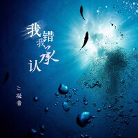 我错我承认 - 凝音