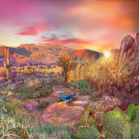 Cognitive - Fthmlss & catch92 & James Dobson