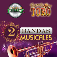 El Mala Suerte - Banda Toro