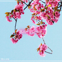 Kein Plastik - Tey & Sky